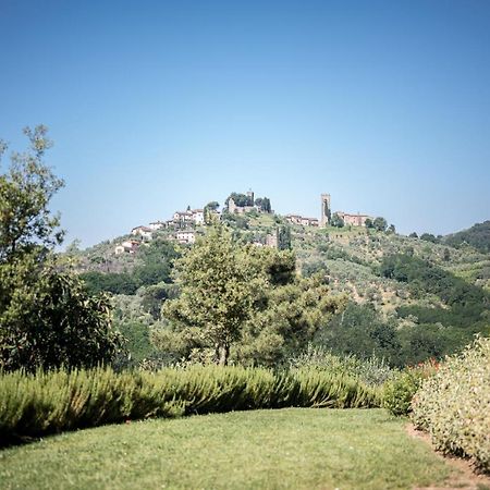 Terre Di Cocomo Borgo a Buggiano Dış mekan fotoğraf