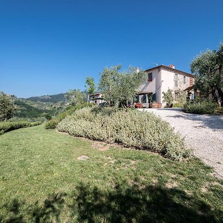 Terre Di Cocomo Borgo a Buggiano Dış mekan fotoğraf