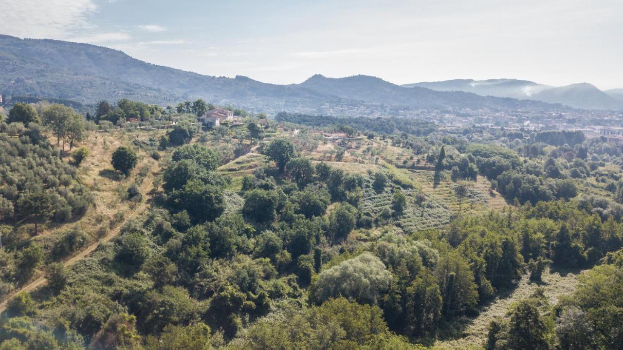 Terre Di Cocomo Borgo a Buggiano Dış mekan fotoğraf