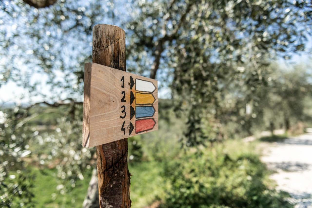 Terre Di Cocomo Borgo a Buggiano Dış mekan fotoğraf
